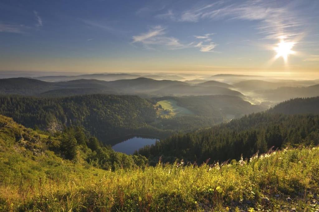 Ferienwohnung Lotti + Hochschwarzwald Card Titisee-Neustadt Extérieur photo