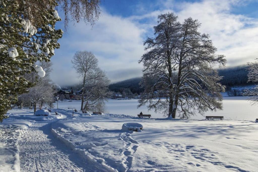 Ferienwohnung Lotti + Hochschwarzwald Card Titisee-Neustadt Extérieur photo